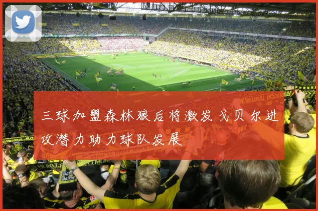 三球加盟森林狼后将激发戈贝尔进攻潜力助力球队发展